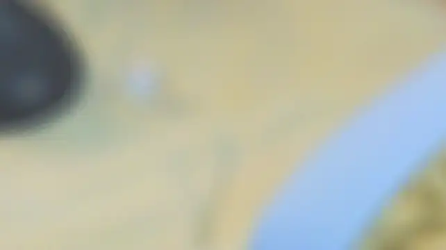 sinteas Live XXX-Chat