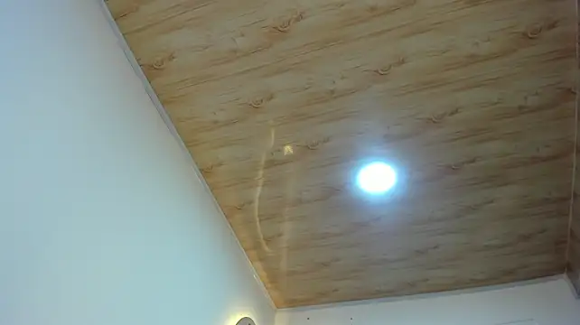BustyGlow Live XXX-Chat