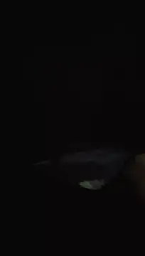 ori6 即時 XXX 聊天