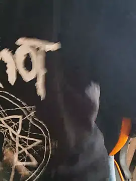 Aashikalaa Live XXX-chat