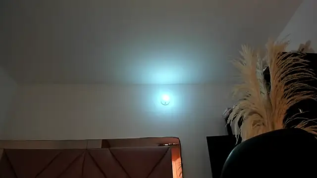 Chat XXX en directo de Alanah_connory