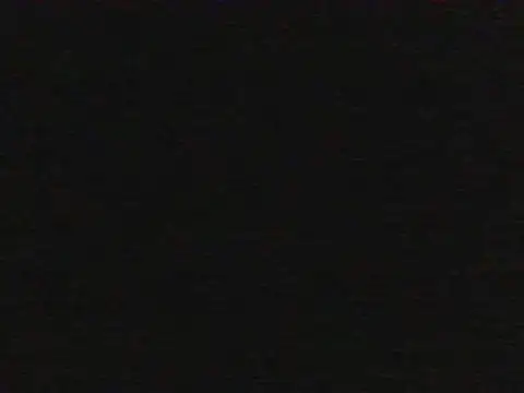 shugabaibe's Live XXX Chat