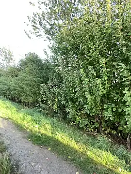 Živý XXX chat EllyNora