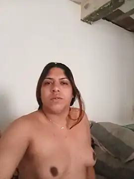 TransBollat Webcam-Show