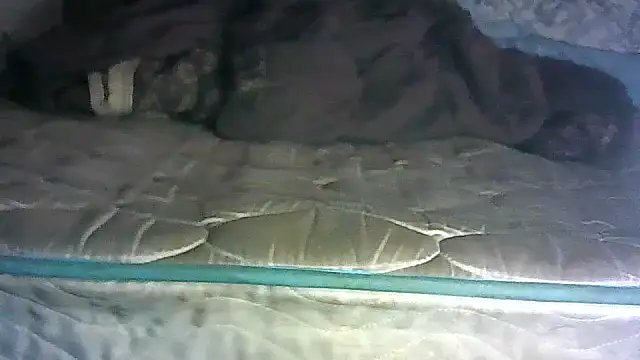 SINC3R3LY_FIR3 – Naživo XXX chat