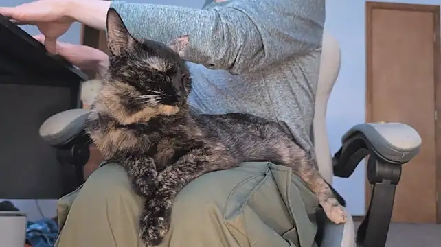 Živý XXX chat Opondestre00420