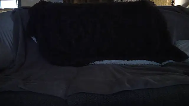 DxnkeyDxng Chat XXX in diretta