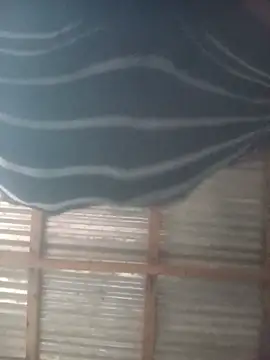 Webkamerová show WiseDi