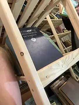 XXX chat uživo modela SiaLater