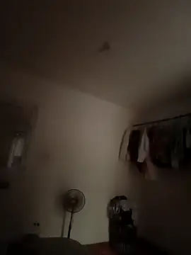 Vergall Webcam show