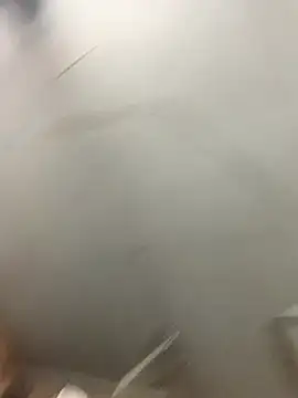 Midwestalpha 即時 XXX 聊天