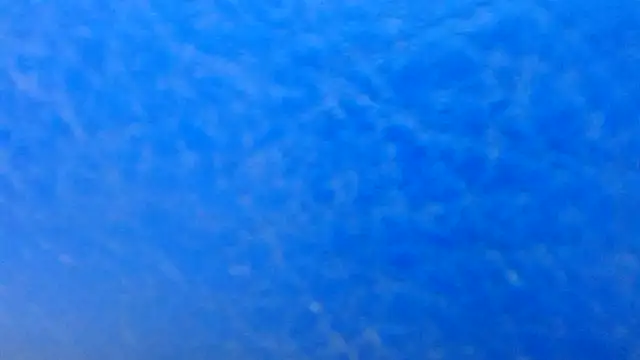 Chat XXX en directo de thebesthairypussy2