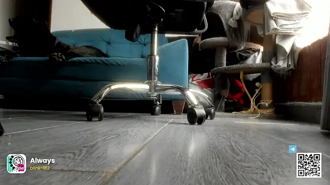 Chat XXX en directo de seijaku_