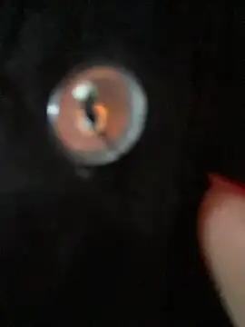 alicev_kitty Chat XXX in diretta