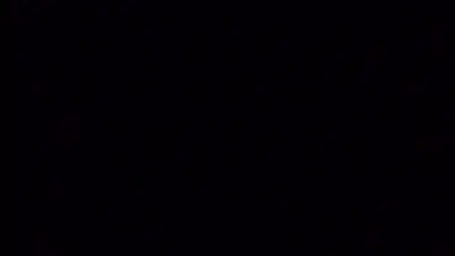 Userpac Live XXX-Chat