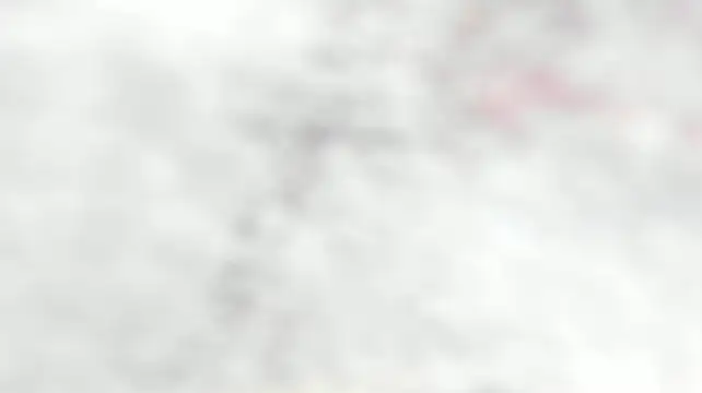 Czat XXX na żywo – bella_adaams