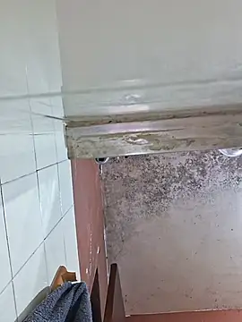 Chat +18 de COROADOTADOCASADO ao vivo