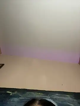 TheDime's Webcam Show