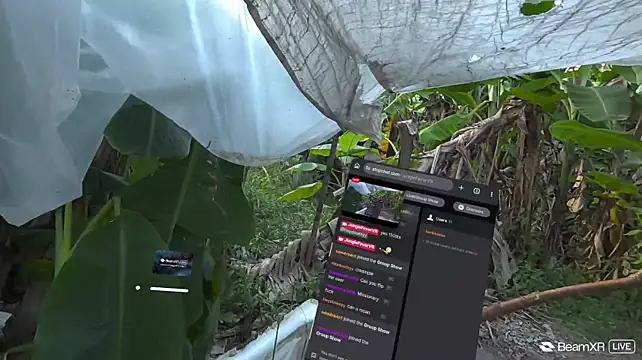 JungleFeverVR – Naživo XXX chat