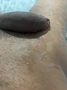 عرض كام NovinhopirocaoPE