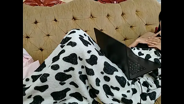 mindymiaw Live XXX-chat