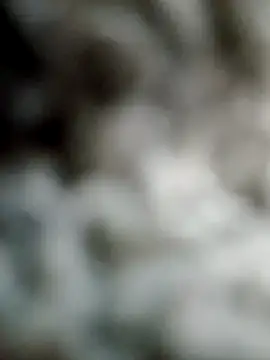 arousing3 现场XXX聊天