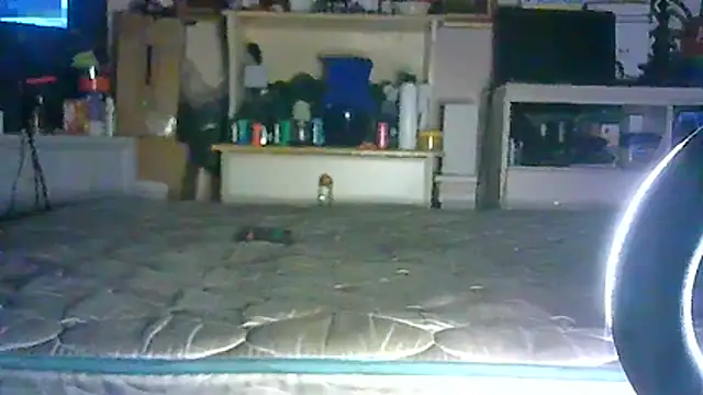 Chat +18 de SINC3R3LY_FIR3 ao vivo
