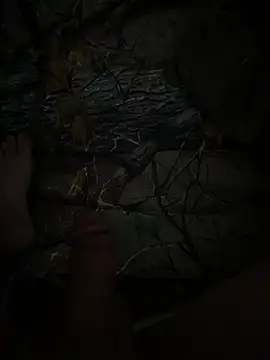 Spread4cum élő XXX-chatje