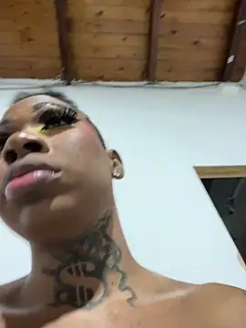 Sheinny_brown1 élő XXX-chatje