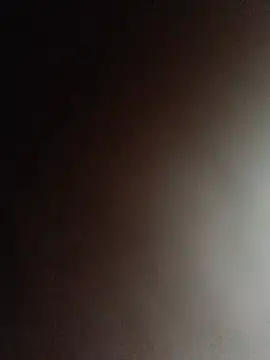 Bulletact – Naživo XXX chat