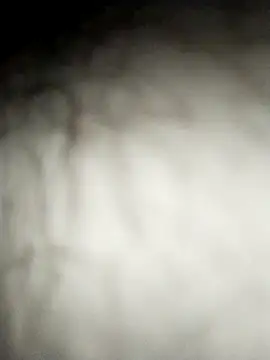 Fjcos Pertunjukan Webcam