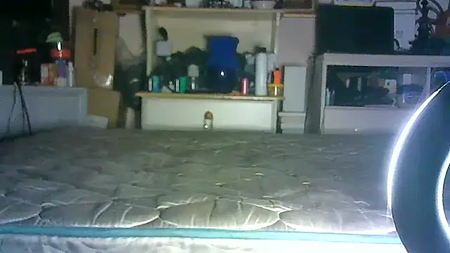 Show Webcam de SINC3R3LY_FIR3