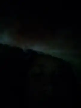 vulgovic_ Obrolan Langsung XXX