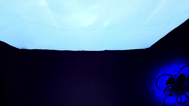 PerryKitty's Live XXX Chat