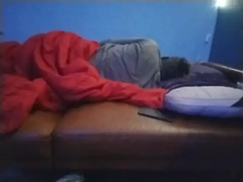 Show Webcam de ReallyReallyReal