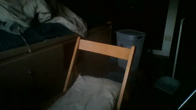 Show webcam de Fun_zgz