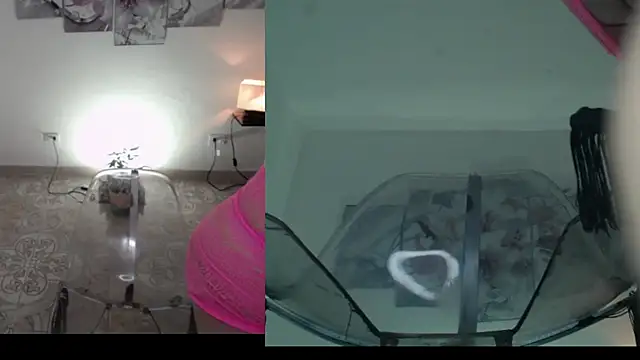 Czat XXX na żywo – jazmin_ross