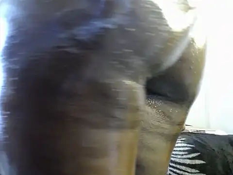 KinkQueenLove 라이브 XXX 채팅