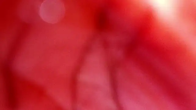 sofi_decker's Live XXX Chat