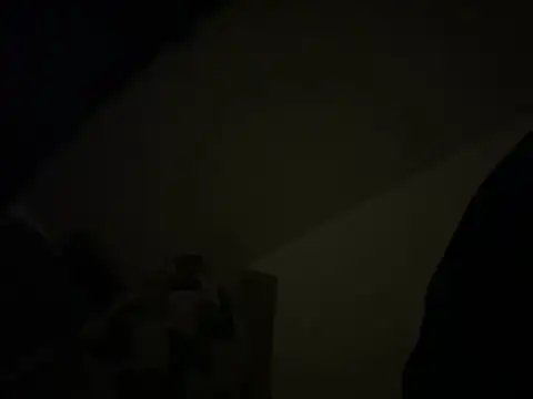 bigdick20101 webcam show