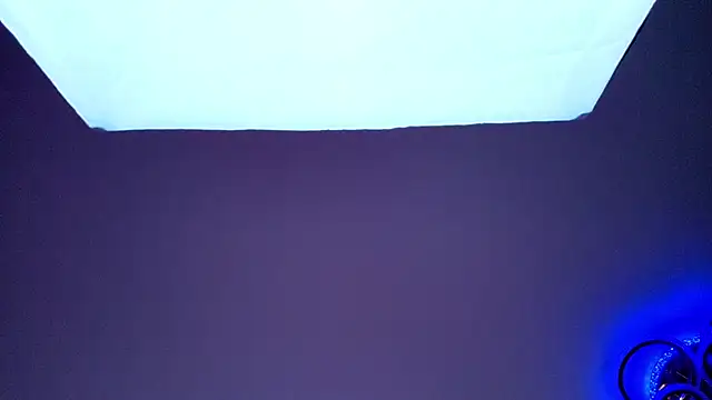 PerryKitty 即時 XXX 聊天