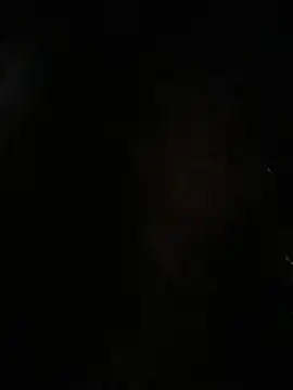 OGKarma Live XXX-chat