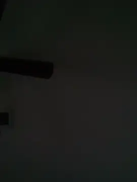 Show webcam de Blkstylion