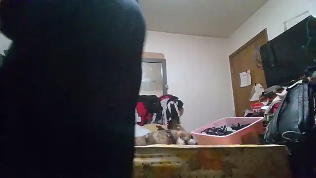 slinginbigD – Naživo XXX chat