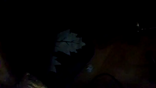 Mr_a420 লাইভ XXX চ্যাট