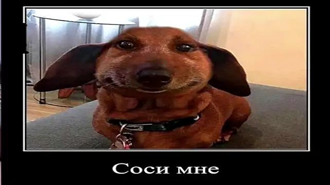 Kurt_hanssen live XXX chat