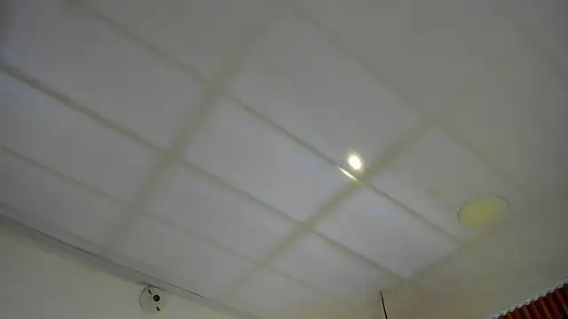 Chat +18 de Hanna_Toons ao vivo