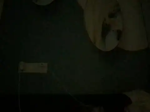 عرض كام badboyrich