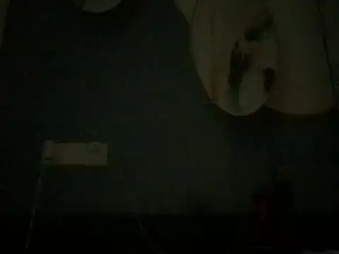badboyrich Webcam-Show