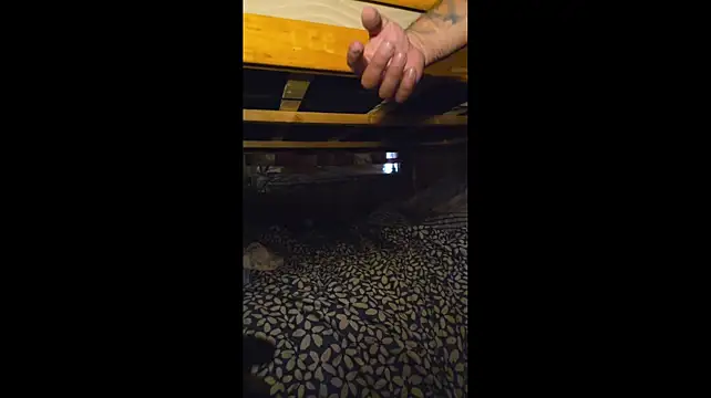 Macey6942 XXX чат на живо